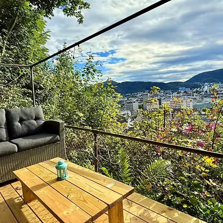 Y - Great View&secret Garden * Bergen